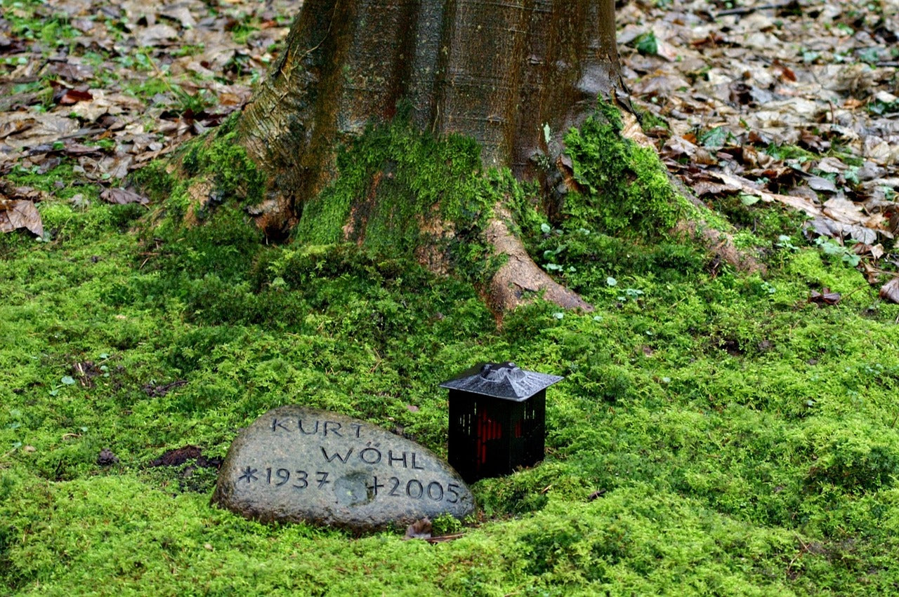 Natuurbegraafplaats met herdenkingsplek