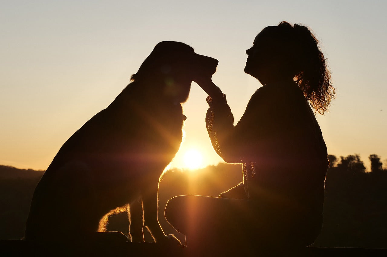 Foto van een hond met zijn baasje