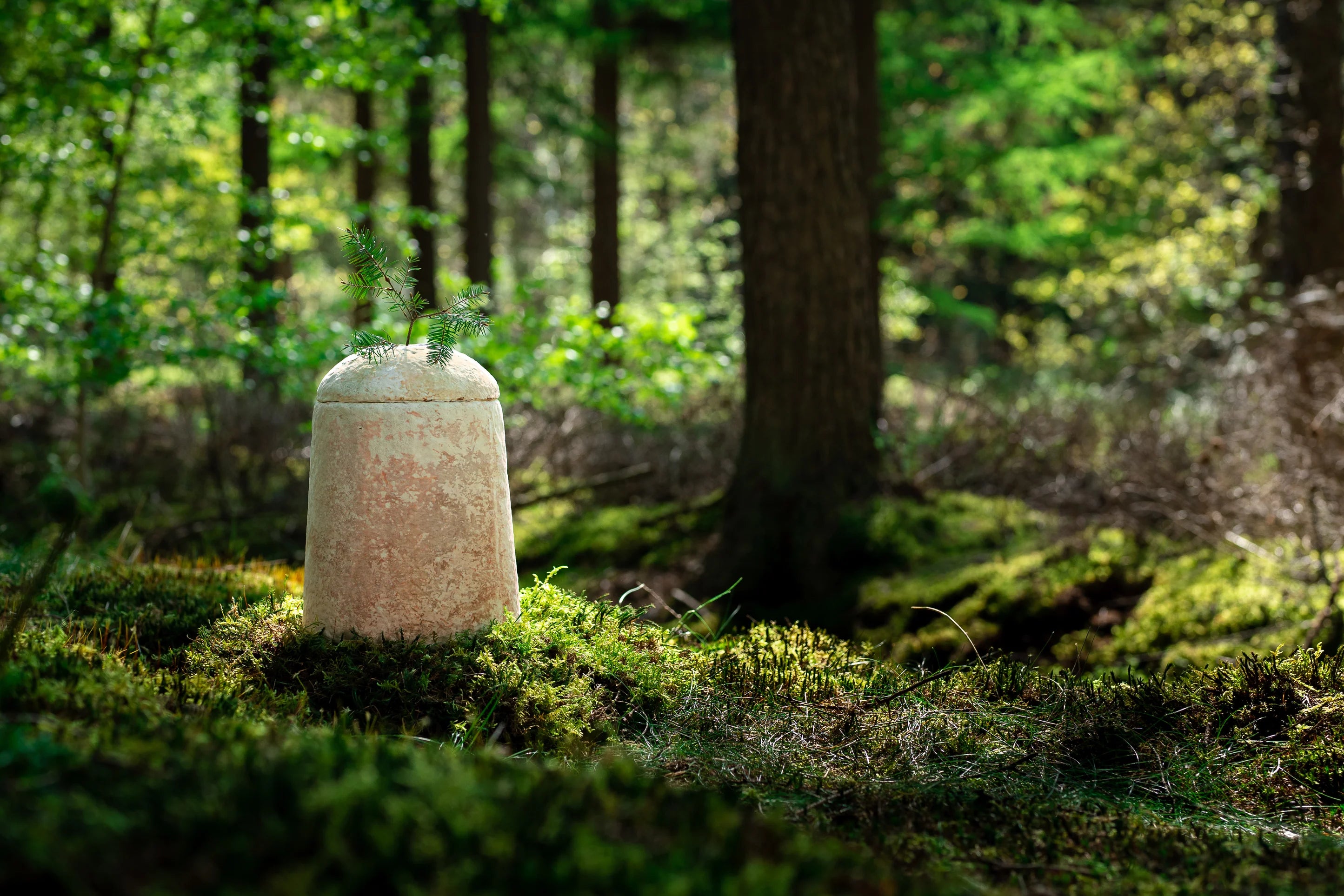 loop biotech urn in het bos