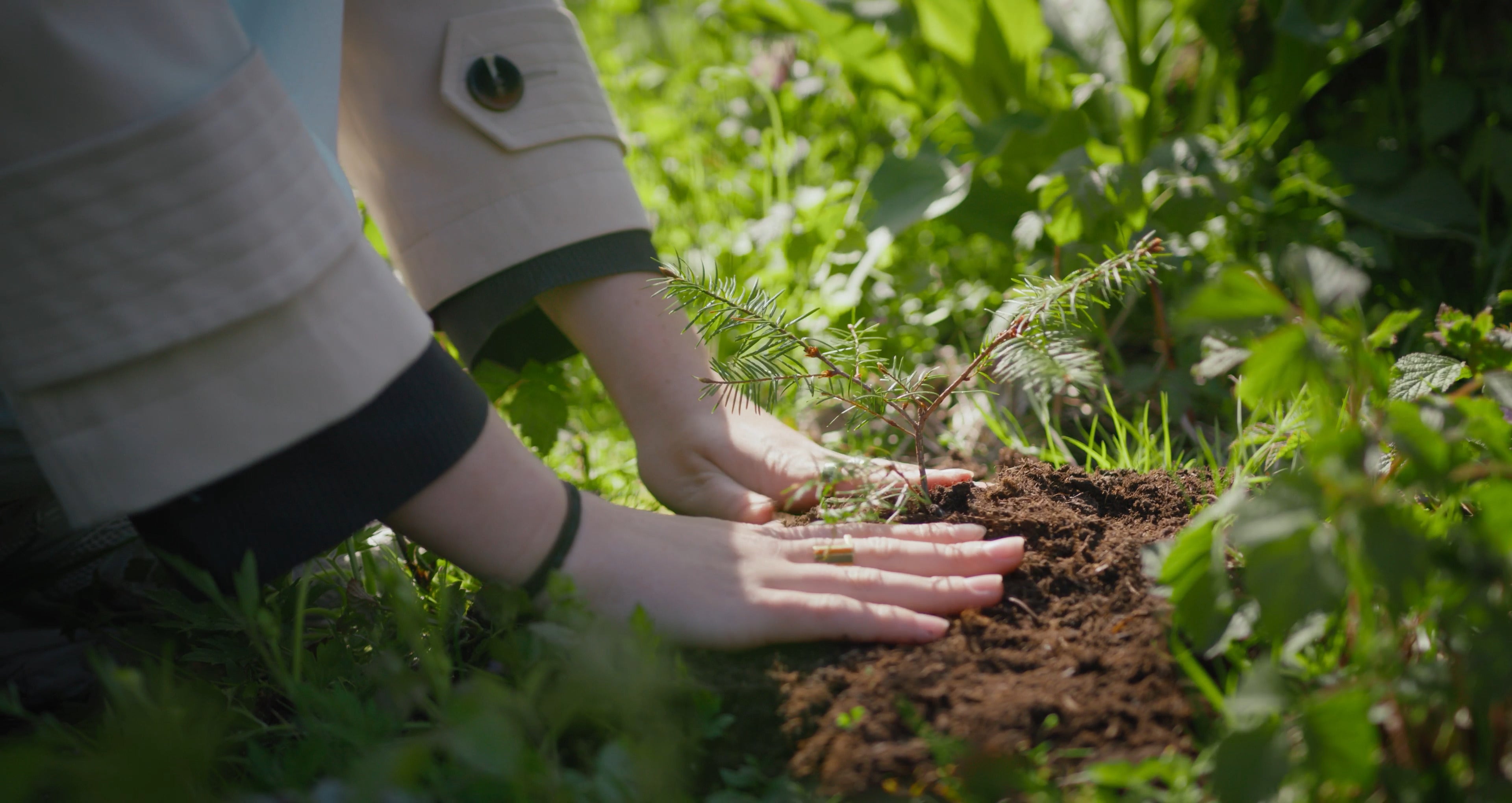 Waarom kiezen voor een natuurbegraafplaats