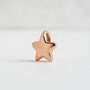 Ashanger | 14K Witgoud | Eeuwige Ster