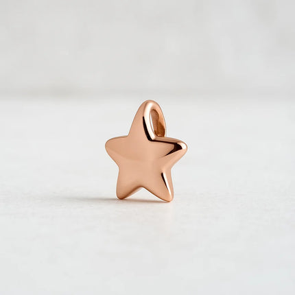 Ashanger | 14K Witgoud | Eeuwige Ster