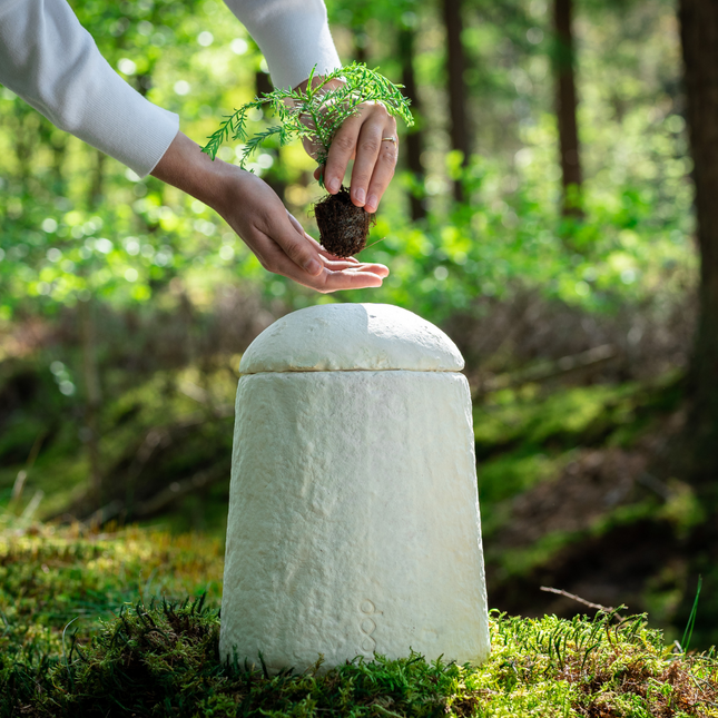 Bio urn op een natuurbegraafplaats met plantje